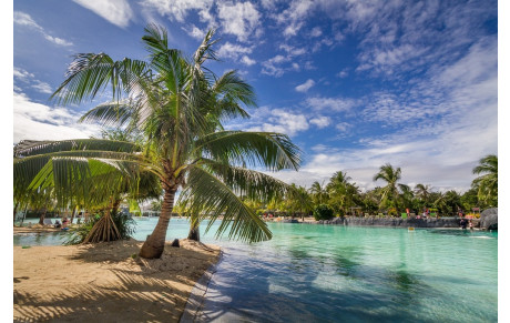 Nos Championnats 2020 sont annulés !